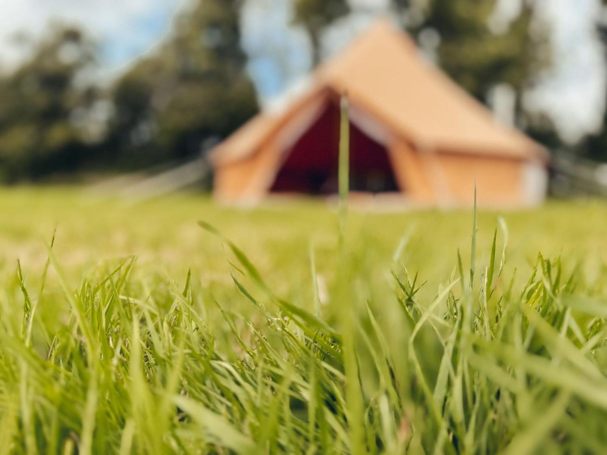 Fully Furnished Bell Tent 3 Carlyon Bay Eksteriør billede